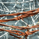 Illustration for article titled Barbed Wires Dark, Deadly History